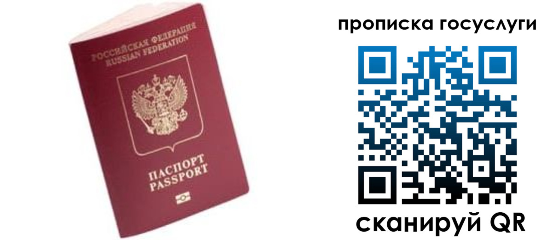 прописка в Егорьевске